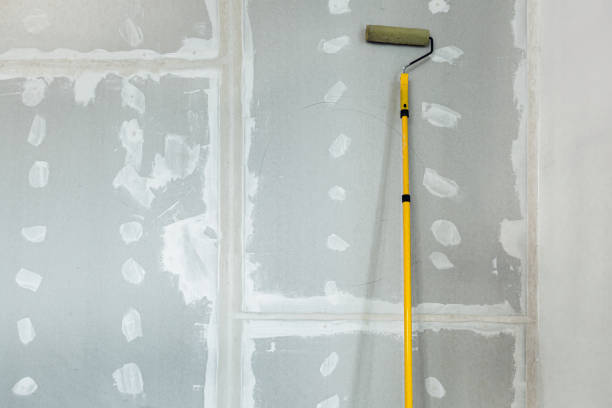 Best Attic Mold Removal  in Viola, NY