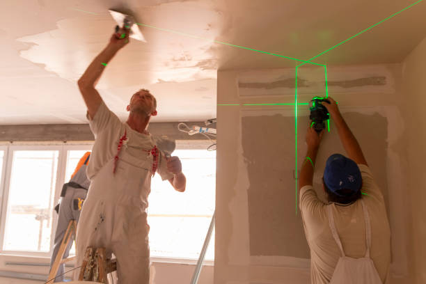 Best Residential Mold Inspection & Testing  in Viola, NY