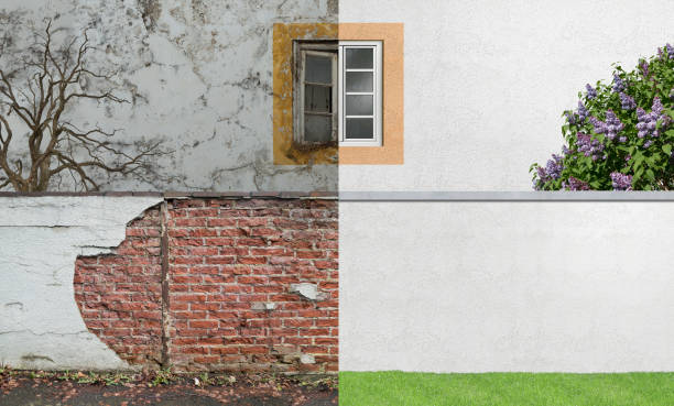 Best Basement Mold Removal  in Viola, NY
