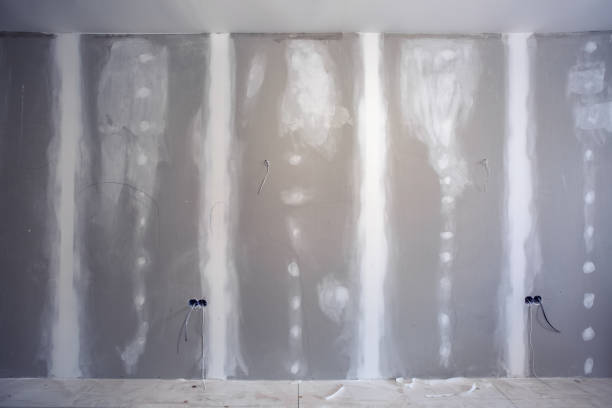Best Asbestos and Lead Testing During Mold Inspection  in Viola, NY